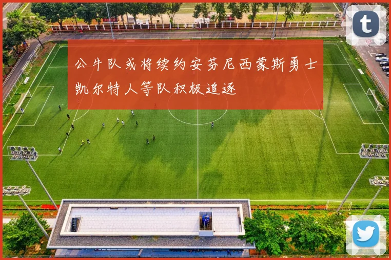 公牛队或将续约安芬尼西蒙斯勇士凯尔特人等队积极追逐