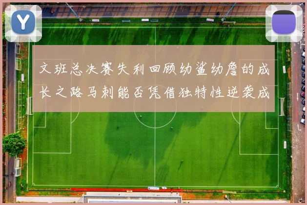 文班总决赛失利回顾幼鲨幼詹的成长之路马刺能否凭借独特性逆袭成功